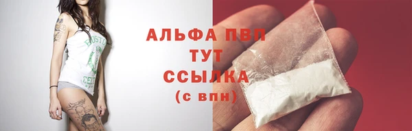 прущие крисы Надым