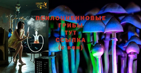 Альфа ПВП Нея