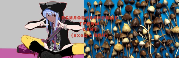 метадон Наволоки